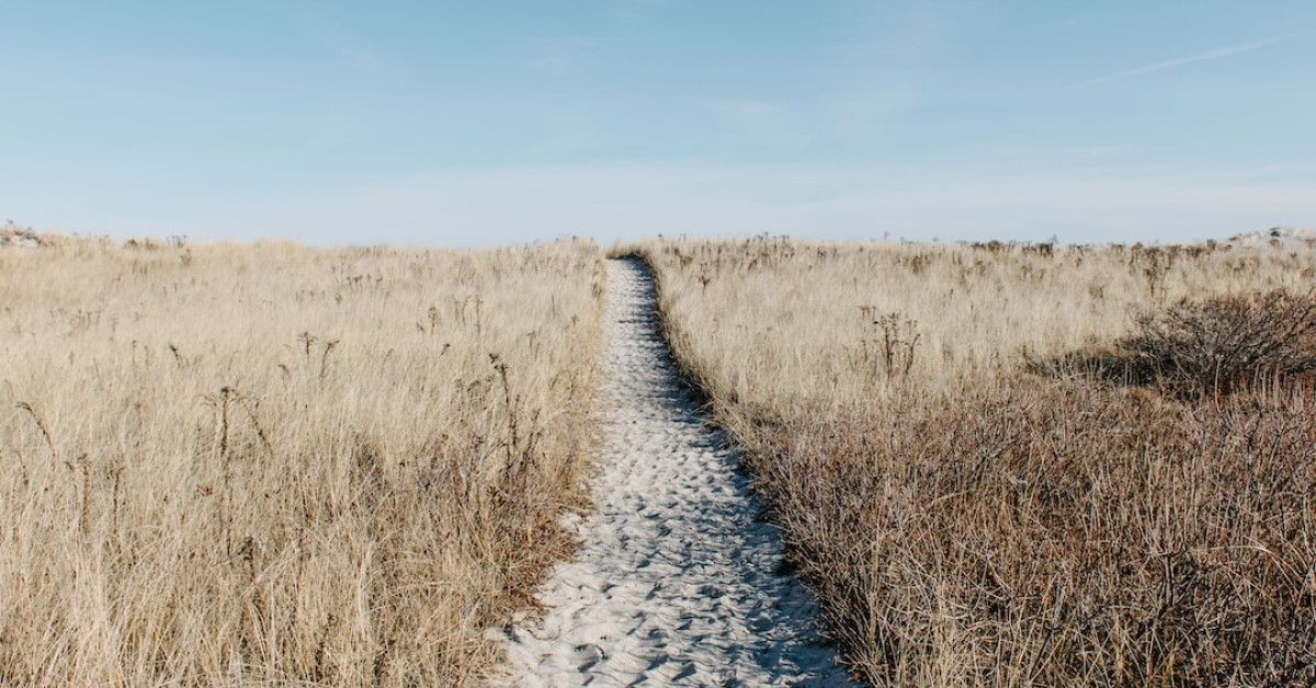 The Path to Happily Ever After: Guide for Blended Families
